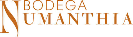 Bodega Numanthia